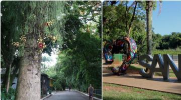 composição lado a lado de fotos do jardim botânico com flor em árvore em primeiro plano à esquerda e a escultura de coração com o nome santos e vegetação da lagoa ao fundo. #paratodosverem