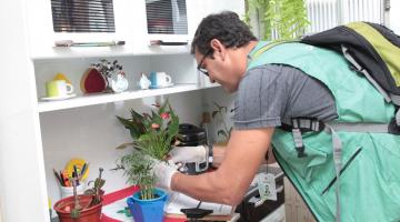 Mutirão elimina mais de 30 focos do Aedes em Santos