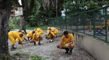 Reforço da capinação inicia segunda-feira na Av. Waldemar Leão