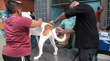 Praça dos Cães é posto de vacinação contra a raiva neste sábado