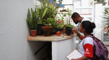 Saúde inicia plano contra doenças transmitidas pelo Aedes 