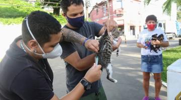 gato é vacinado enquanto dono segura #paratodosverem