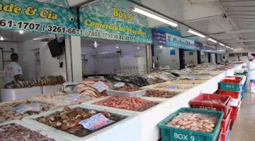 peixes expostos em barracas no mercado #pracegover 