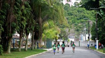 História, tradição e belezas naturais na rota de linhas turísticas em Santos