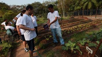 Ações santistas selecionadas para banco de práticas de desenvolvimento sustentável