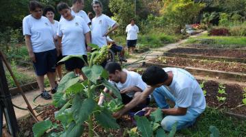 Jardim Botânico oferece aulas de horta ecológica