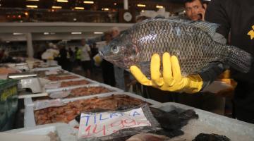 mão mostra peixe #paratodosverem