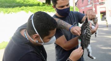 homem segura um gatinho enquanto outro o vacina. #paratodosverem