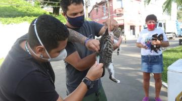 homem segura gata enquanto outro vacina o animal. Ao fundo, uma mulheres segura dois cãezinhos no colo. #paratodosverem