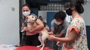 Mulher segura cachorro, um homem aplica a injeção e outra mulher ampara o animal. #paratodosverem