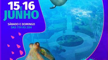 Festival de economia criativa e arte agita a Ponta da Praia de Santos no fim de semana
