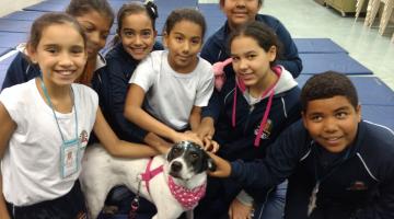 UME Rubens Lara recebe o diploma ‘Minha escola respeita os animais’. Veja vídeo