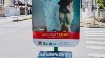 Campanha alerta sobre o abandono de animais 