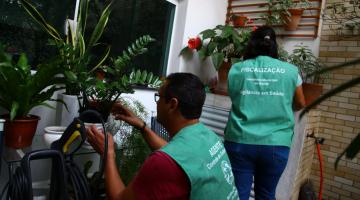 agentes olham vasos com plantas #pracegover 