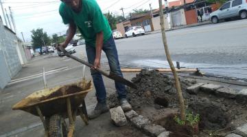 Homem planta muda em cova.  Ele coloca terra sobre a muda que está em uma cova. Ao lado direito dele há um carrinho de  mão com terra. #Pracegover