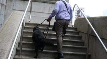 Deficiente visual subindo escada com cachorro guia #pracegover 