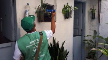 Ponta da Praia de Santos terá mobilização contra o mosquito Aedes aegypti