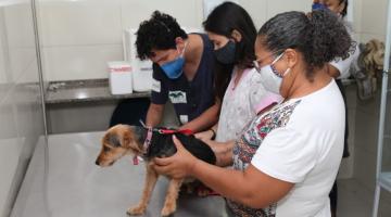 mulher segura cachorro para ser vacinado #paratodosverem 