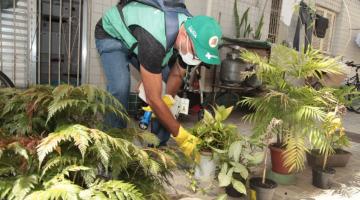 agente vistoria vasos com plantas em frente a residencia #paratodosverem