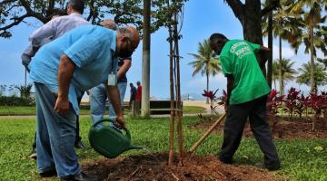 homens plantando árvore no jardim da orla #paratodosverem