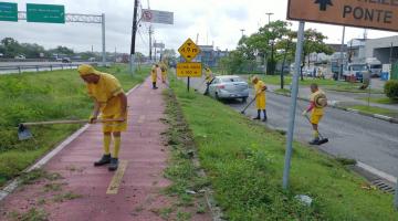 pessoas uniformizadas de amarelo cortando mato em área junto à rodovia #paratodosverem