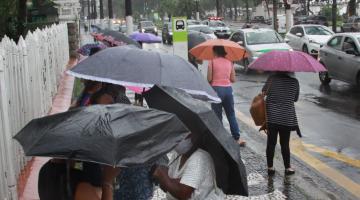 pessoas de guarda chuva em ponto de ônibus com vários carros passando na avenida #paratodosverem