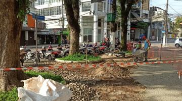 fita separando árvores e pedras de trecho de praça #paratodosverem