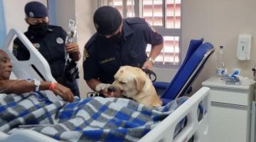 agentes seguram cachorro ao lado de paciente na cama do hospital #paratodosverem