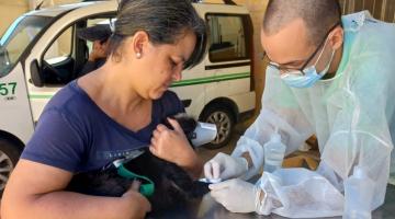 profissional colhe sangue da patinha de cão enquanto tutora segura #paratodosverem