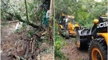 Rio da Área Continental, em Santos, é desobstruído após remoção de árvores