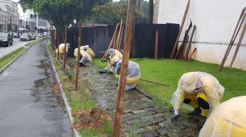 Mais de 360 ruas de Santos recebem serviços de raspação e capinação em setembro