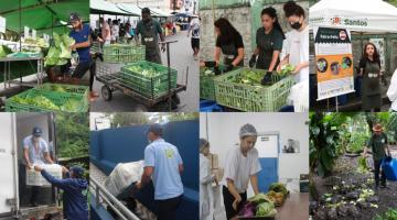 Iniciativa ambiental santista, Feira Feliz já evitou desperdício de mais de 1 tonelada de alimentos