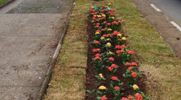 Nova iluminação e jardim colorido embelezam trecho da Avenida Ana Costa, em Santos 