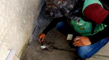 Mutirão no Rádio Clube, em Santos, elimina 44 focos com larvas de mosquito