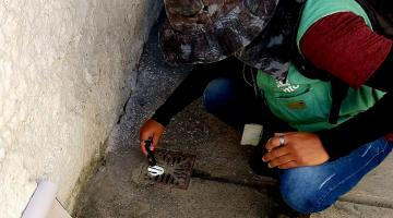Mutirão no Rádio Clube, em Santos, elimina 44 focos com larvas de mosquito
