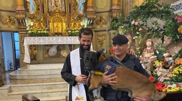 Cães da GCM de Santos são abençoados no dia de São Francisco