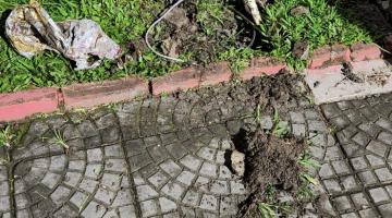 alicate e fios estão no chão ao lado de pequeno recorte de jardim. #paratodosverem 