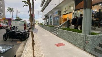 Em fase final de revitalização, Rua Trabulsi, em Santos, recebe plantio de ipês-amarelos