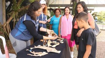 Aquário de Santos tem programação infantil recheada de atividades em abril