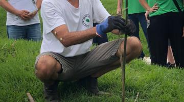 homem planta muda de árvore sobre gramado. #paratodosverem 