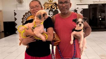 Cerca de 50% dos pets para adoção em evento da Codevida ganha novo lar em Santos
