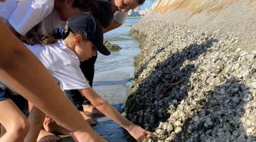 jovens mexem em costão de ilha #paratodosverem