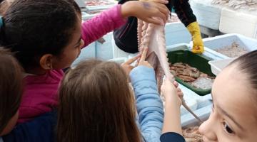 crianças tocam em polvo no mercado de peixes. #paratodosverem