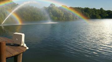 Muretinha, nosso mascote