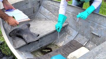 agentes verificam larvas em barco #paratodosverem