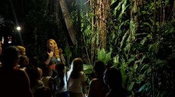 pessoas visitando o orquidário à noite #paratodosverem