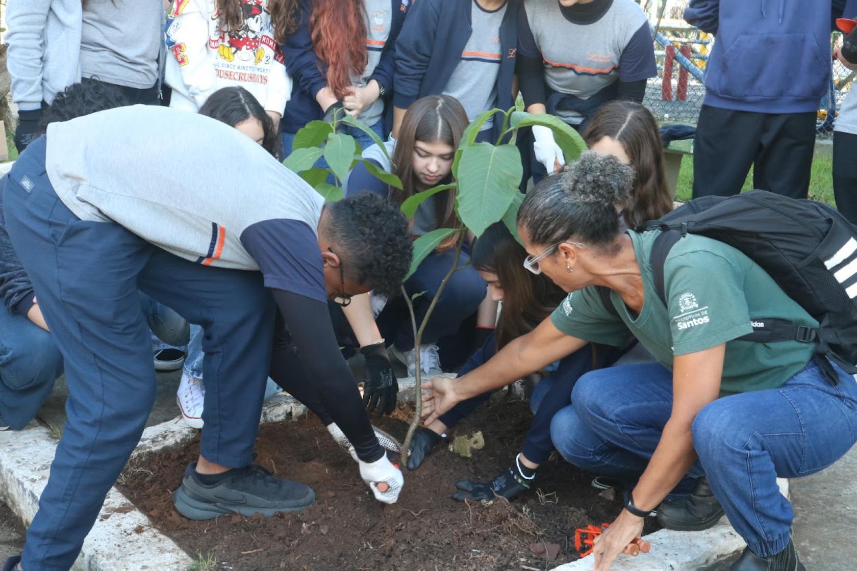alunos e voluntários plantam árvore #paratodosverem