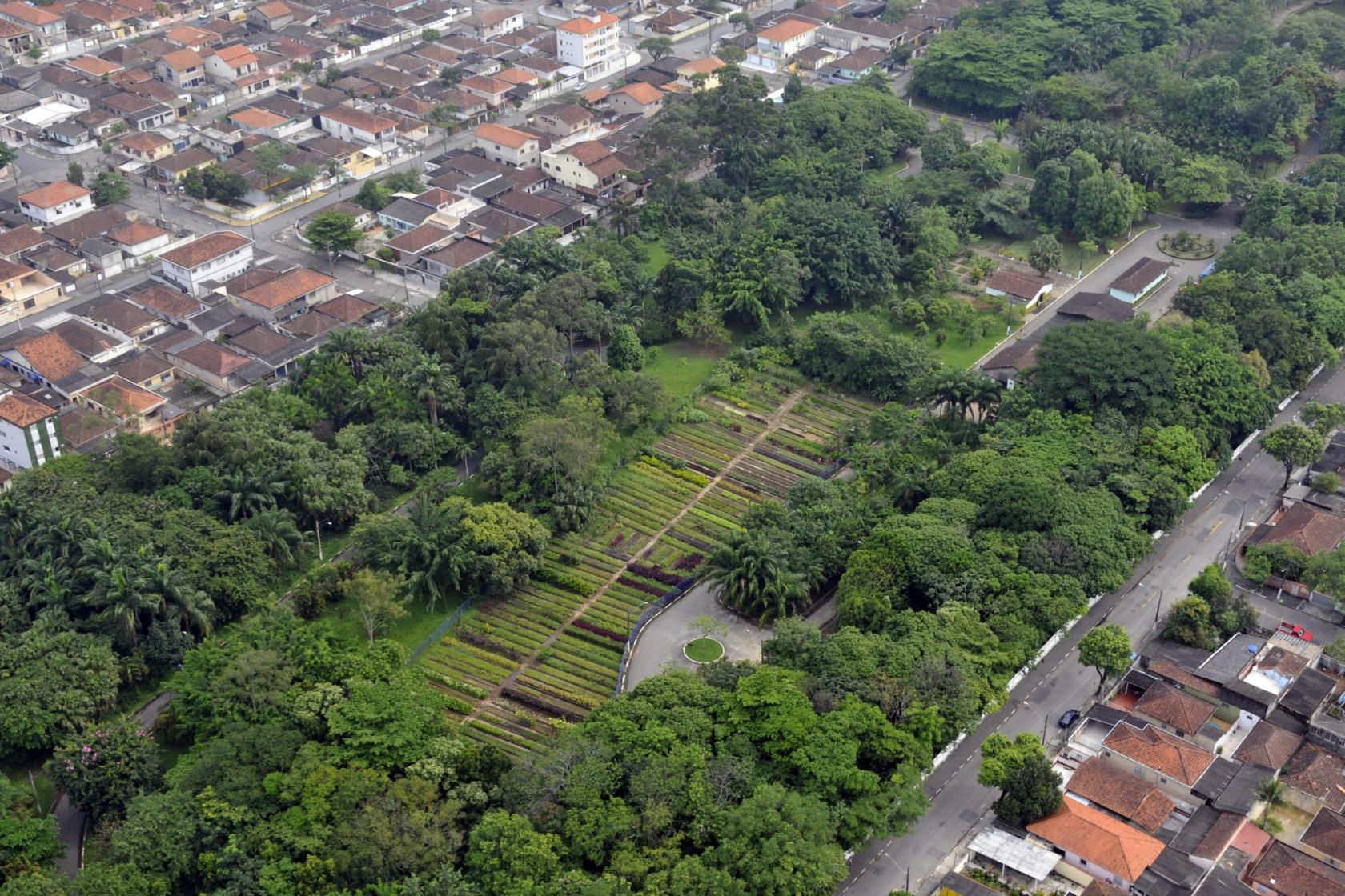 Vista do alto de parque com muitas árvores. Ele está no meio de uma região habitacional. #Pracegover