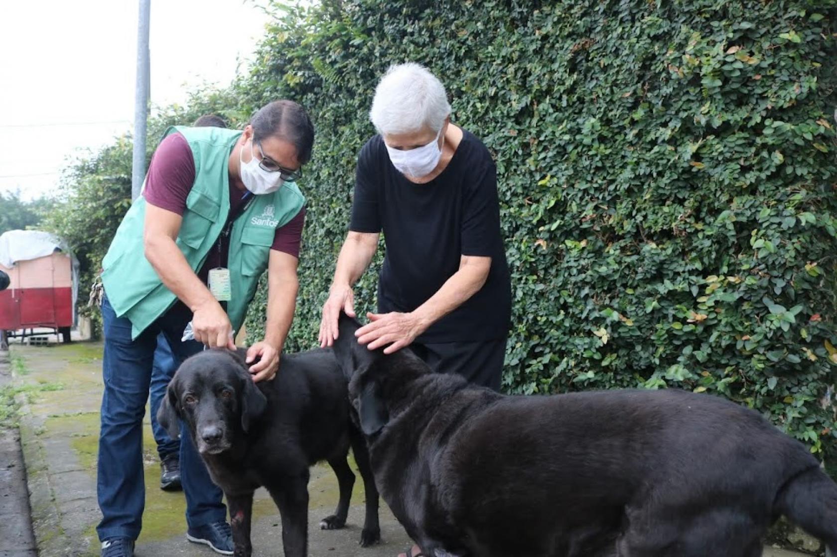 mulher está junto de dois cães enquanto homem com colete coloca a coleira em um deles. #paratodosverem