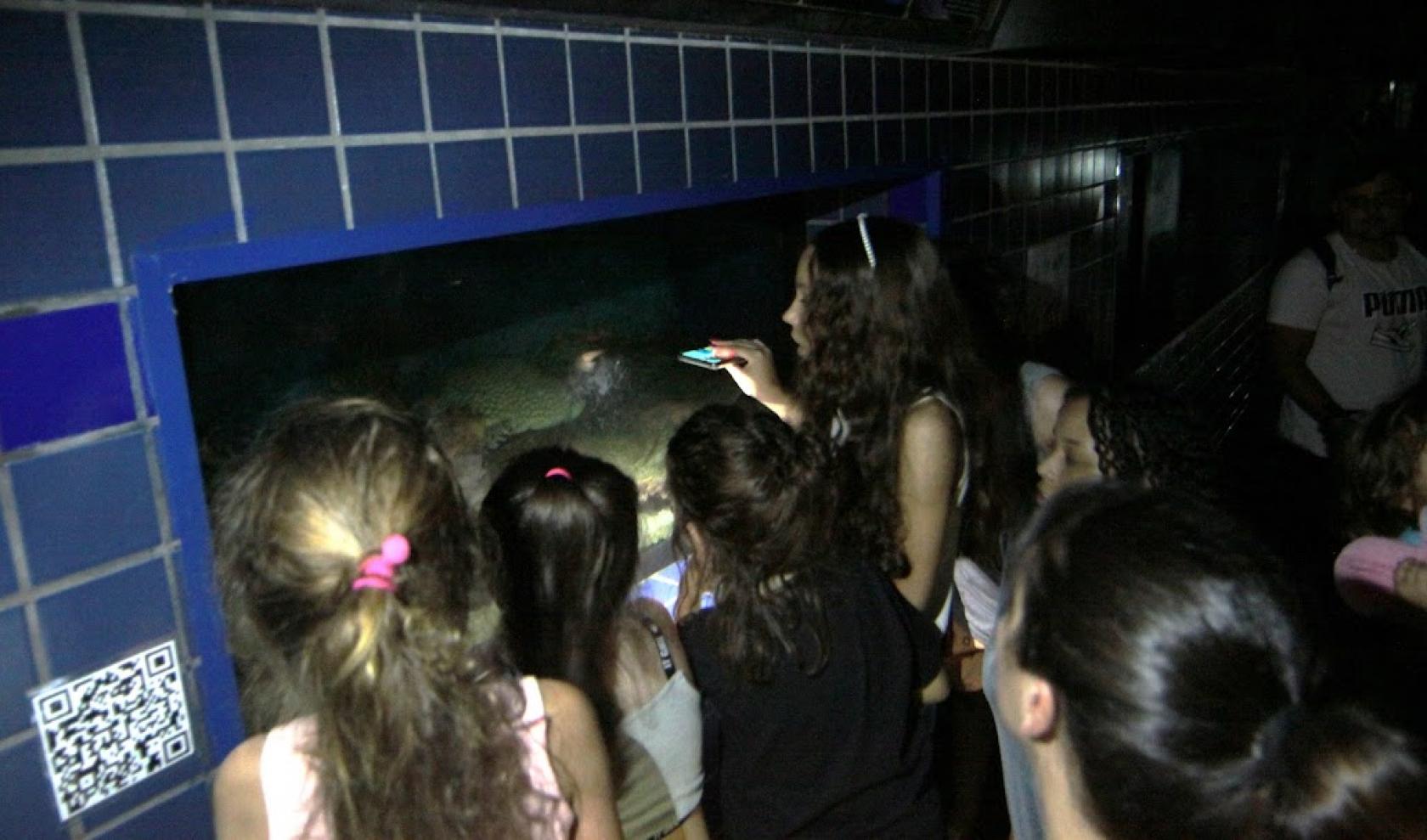 pessoas olham tanque do aquário #paratodosverem 